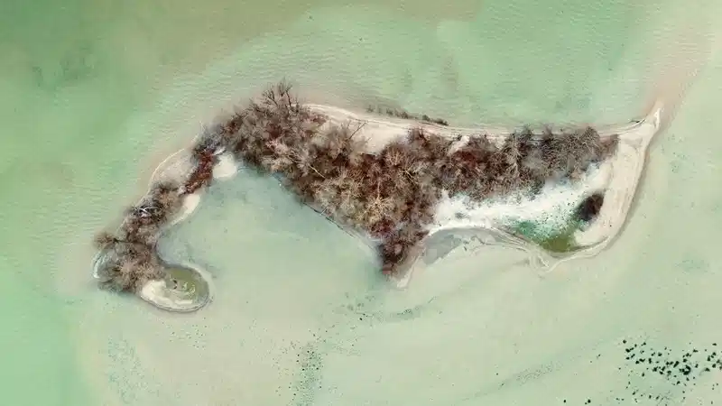 Outdoor adventure scene