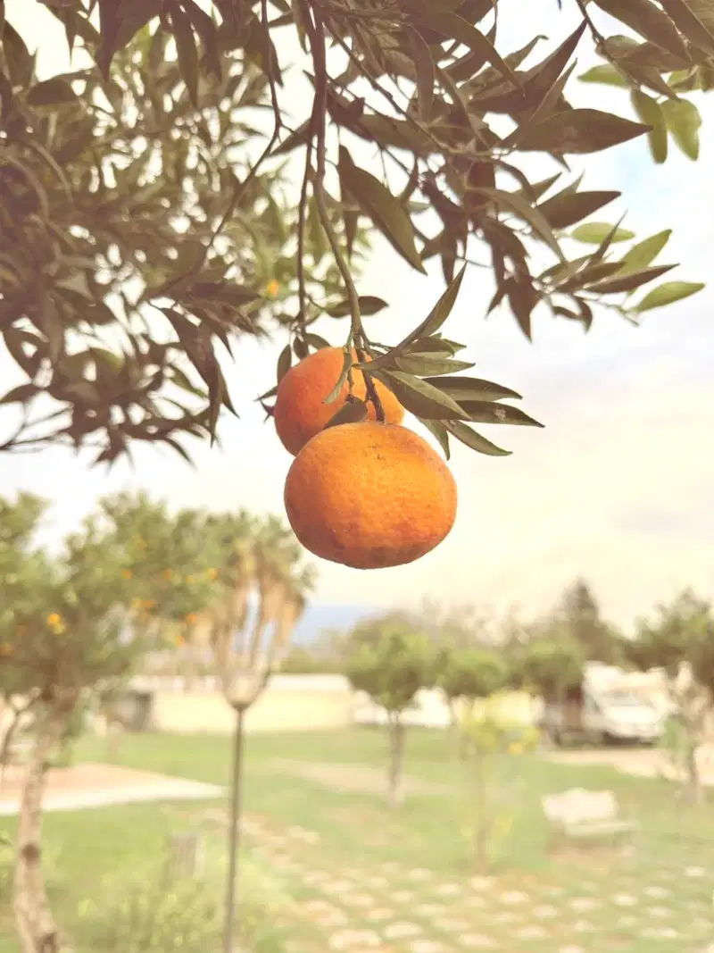 Travel accessories including compass, map and camera on wooden table